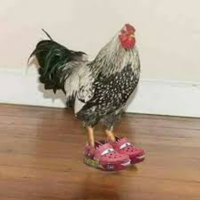reward item