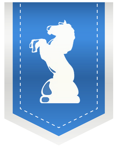 reward item