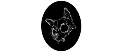 reward item