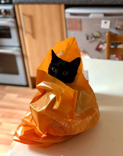 reward item