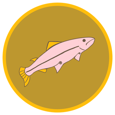 reward item