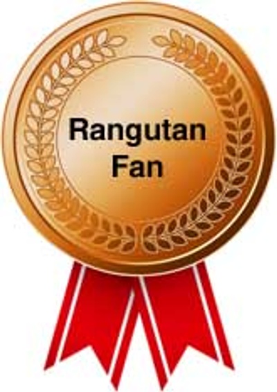 reward item