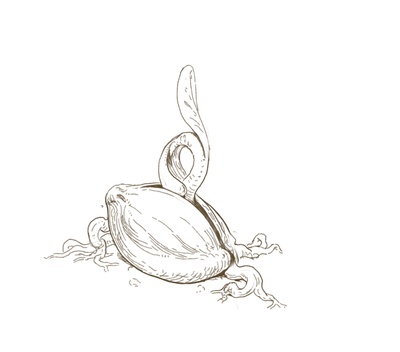 reward item