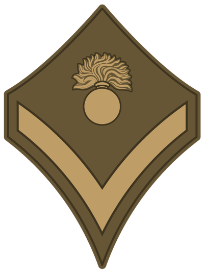 reward item