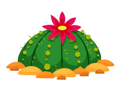 reward item