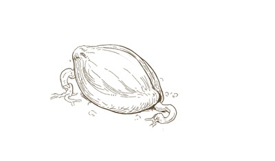 reward item