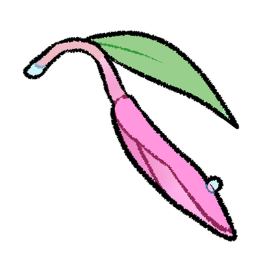 reward item