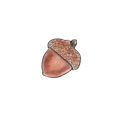 reward item