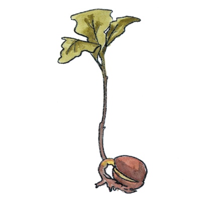 reward item