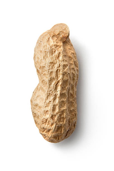 reward item