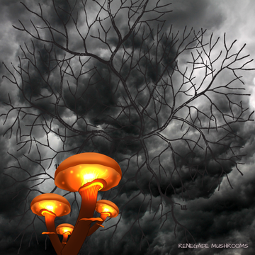 Renegade Mushrooms