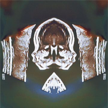 The Birthing Portal