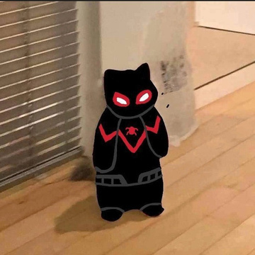 Felix Novel