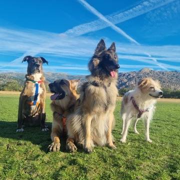 La Mafia Perruna