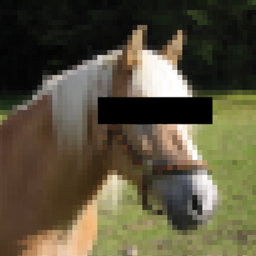 Neighzorr