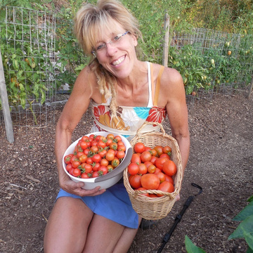 Starry Hilder REAL OFF GRID ADVICE For SUSTAINABLE LIVING