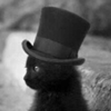 Black Kitten