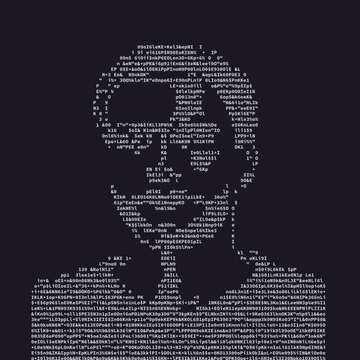 Exploring the Simulation