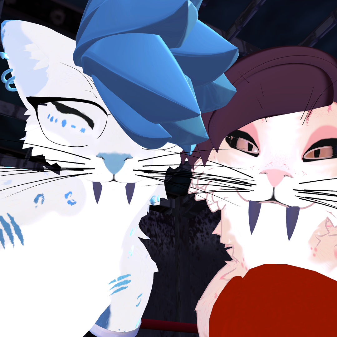 Shortcake & Blizzard Boxing