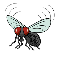 To the members of 'Insect Brothers,' just a little more, everyone ...