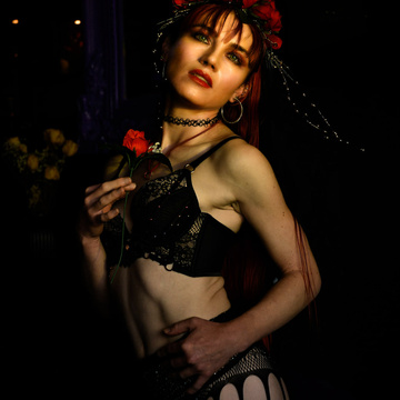 The Bee Babette