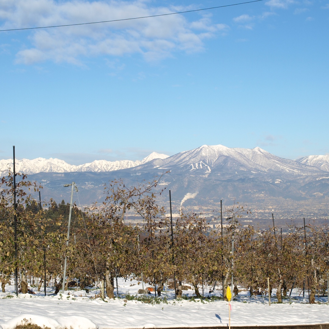 Real Rural Japan