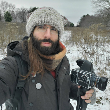 David Palumbo