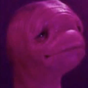 JUNlPER