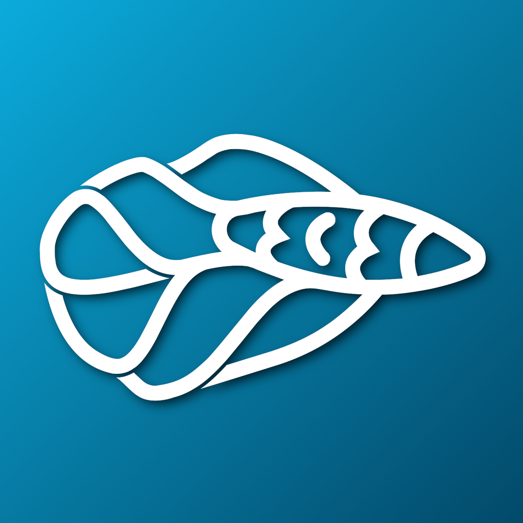 Betta Patreon Creator Profile