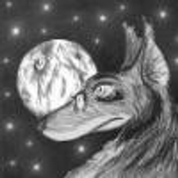 Coyotek