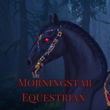 Morningstar Equestrian
