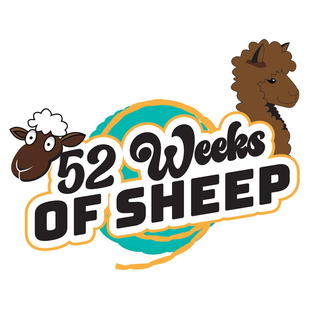 Episode 34 - Bison