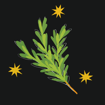 dew of the sea
