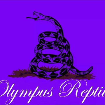 Olympus Reptiles