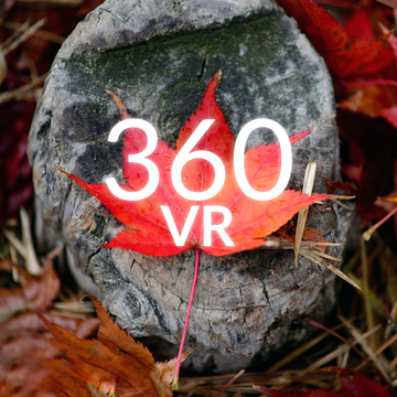 Canadian Giantess 360 VR