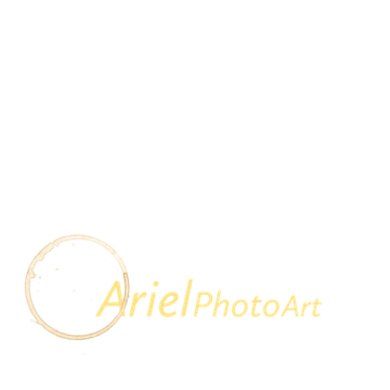 Ariel photo art