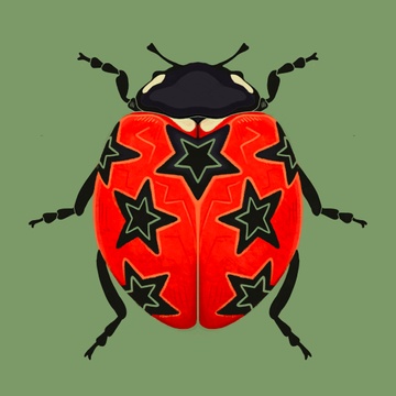 Bug on a Stump