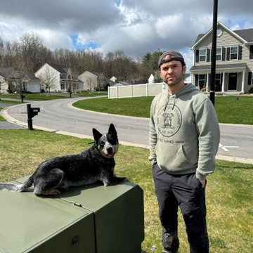Day to Day Dog Training