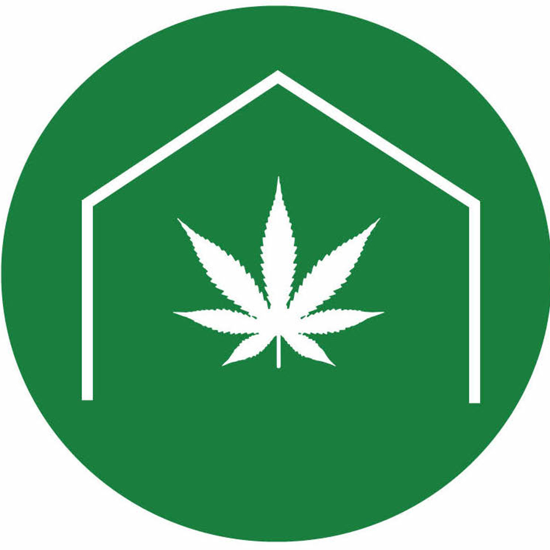 Dylan @ GreenBox Grown