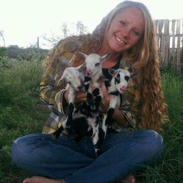Blue Cactus Dairy Goats