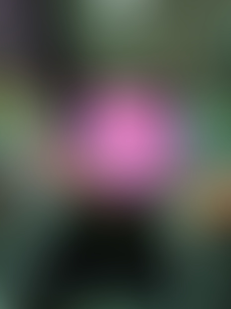 creator-hero-placeholder