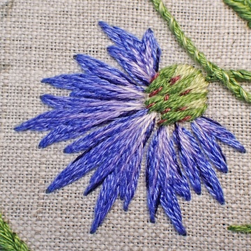 Mary Corbet