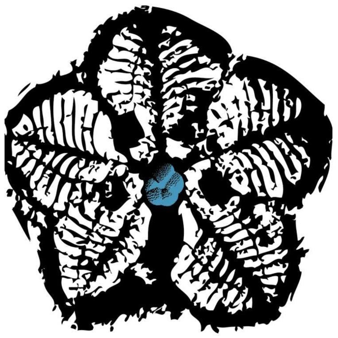 Time Scavengers's Patreon profile picture