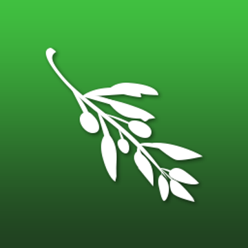 Olive Patreon Creator Profile