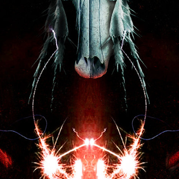 Creator profile picture