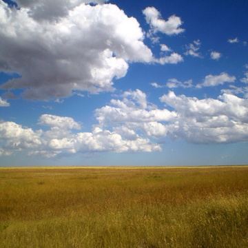 Big Year Colorado
