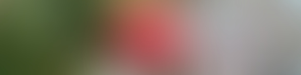 creator-hero-placeholder