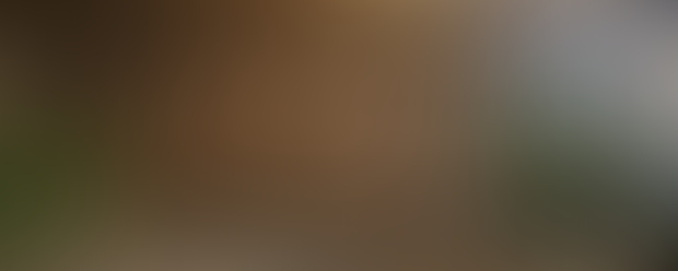 creator-hero-placeholder