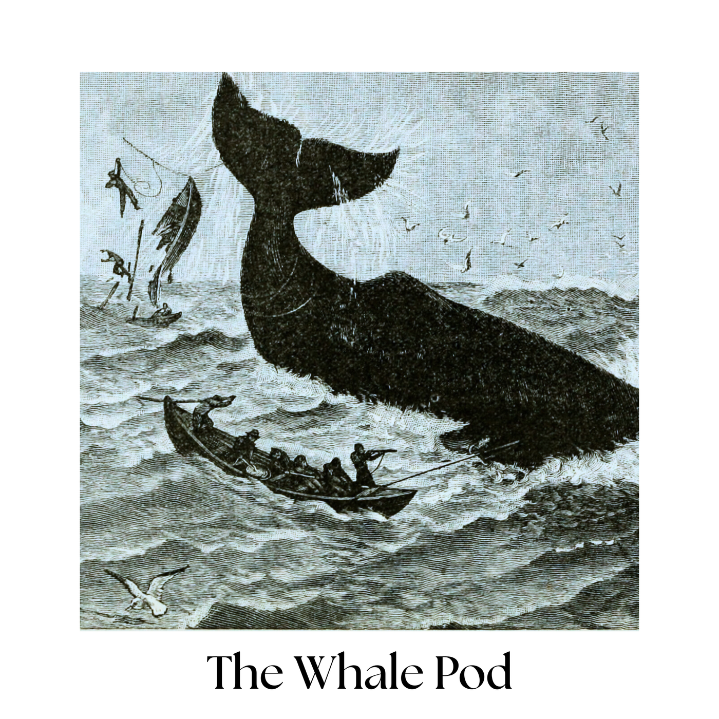 The Whale Pod cover art