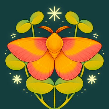 stitchsprout